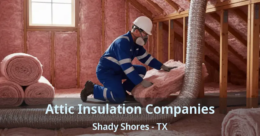 Attic Insulation Companies Shady Shores - TX