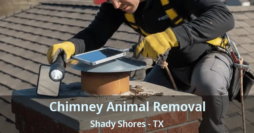 Chimney Animal Removal Shady Shores - TX Chimney Animal Removal Shady Shores - TX