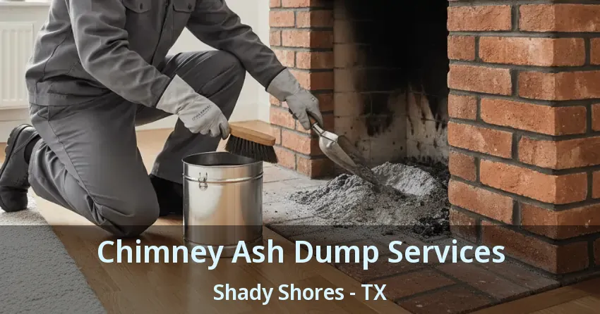 Chimney Ash Dump Services Shady Shores - TX