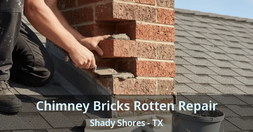 Chimney Bricks Rotten Repair Shady Shores - TX