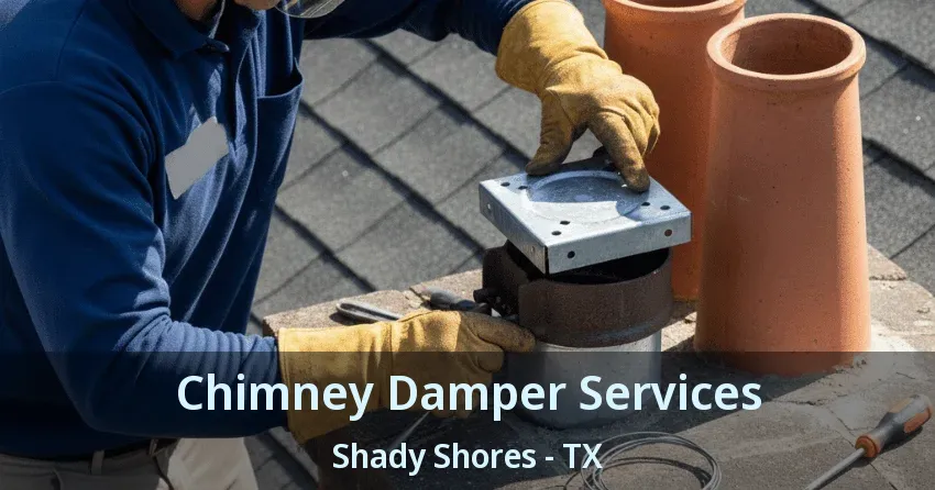 Chimney Damper Services Shady Shores - TX