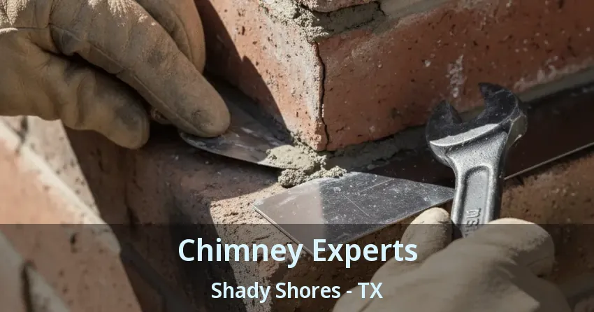 Chimney Experts Shady Shores - TX