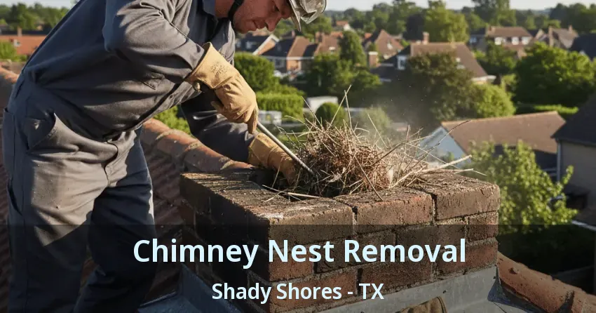 Chimney Nest Removal Shady Shores - TX