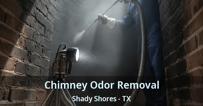Chimney Odor Removal Shady Shores - TX