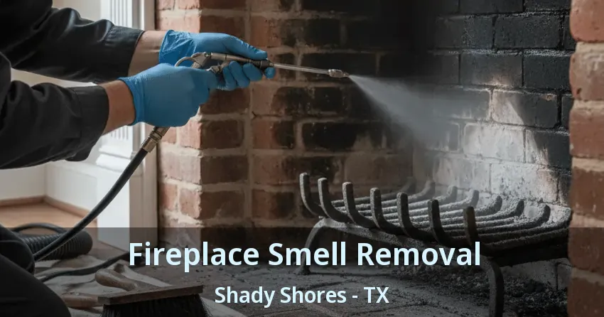 Fireplace Smell Removal Shady Shores - TX