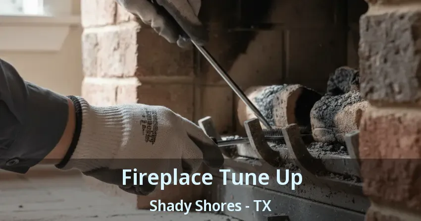 Fireplace Tune Up Shady Shores - TX