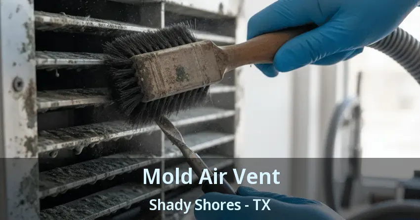 Mold Air Vent Shady Shores - TX