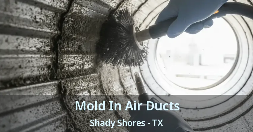 Mold In Air Ducts Shady Shores - TX