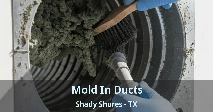 Mold In Ducts Shady Shores - TX