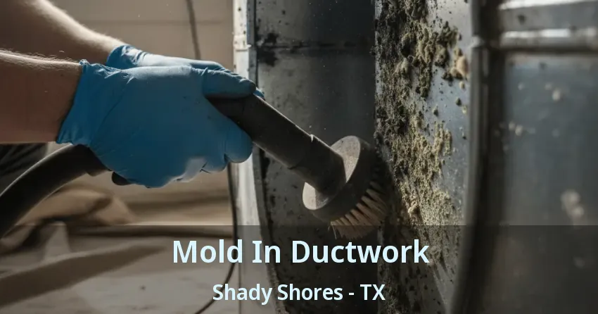 Mold In Ductwork Shady Shores - TX