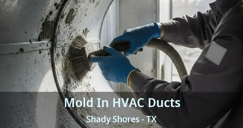 Mold In HVAC Ducts Shady Shores - TX Mold In HVAC Ducts Shady Shores - TX