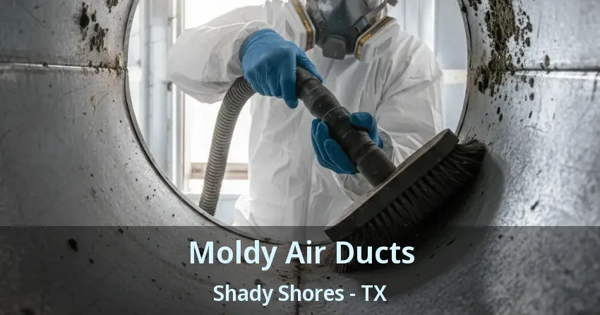 Moldy Air Ducts Shady Shores - TX